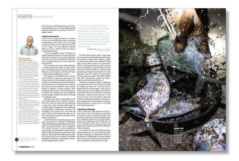 Global - wildrobin official site